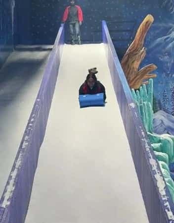 Ice Slides