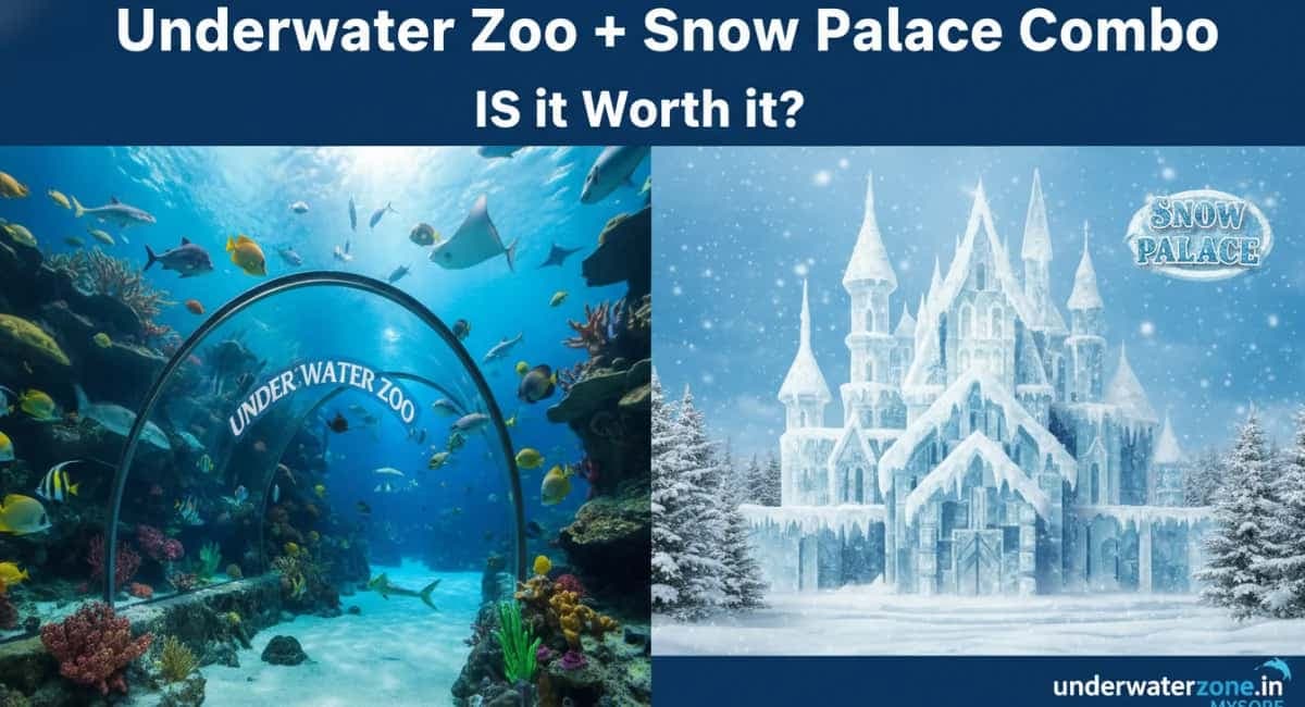Underwater Zoo + Snow Palace Combo — Is It Worth It?