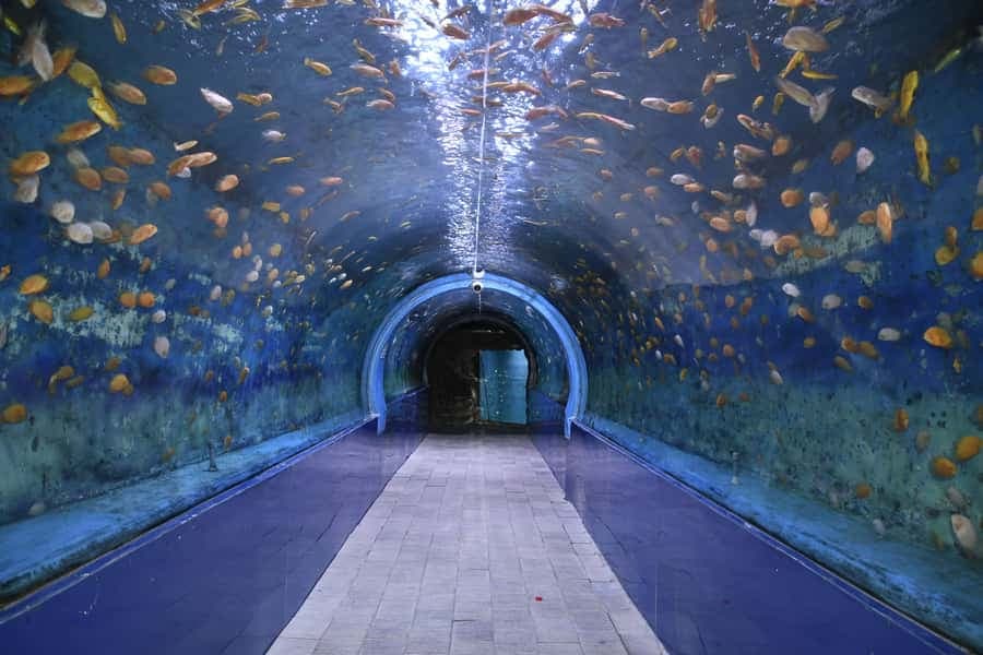 Lokaranjan Aqua World Underwater Zoo Mysore