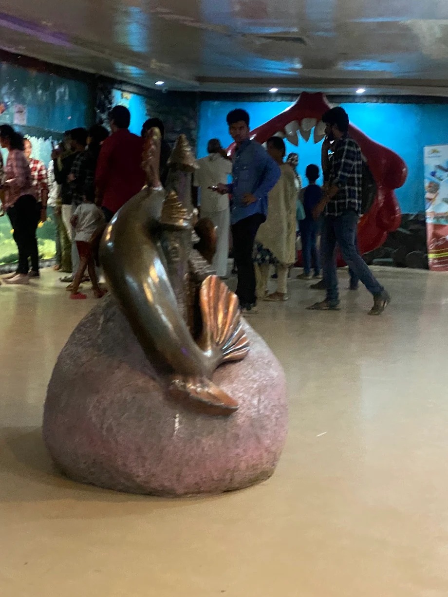Gallery 5