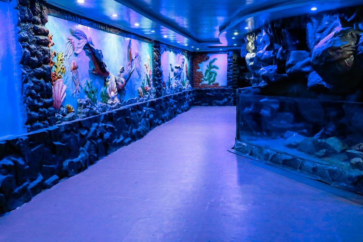 Under water Tunnel